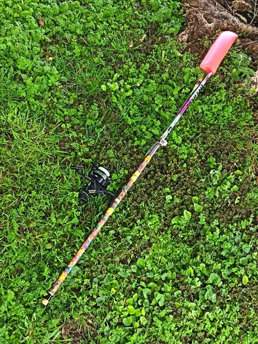 Canna pesca intrese trota - da,