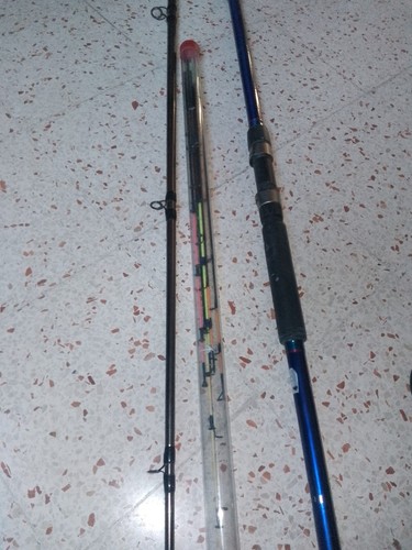 Canna pesca tuberti con 6 - pesca, i