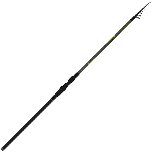 Canna tubertini omni - omni, trout