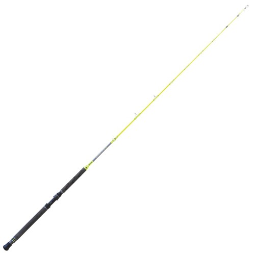 Canna tubertini vitality - canna, 3