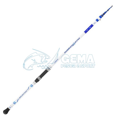 Canna tubertini boater - canna,